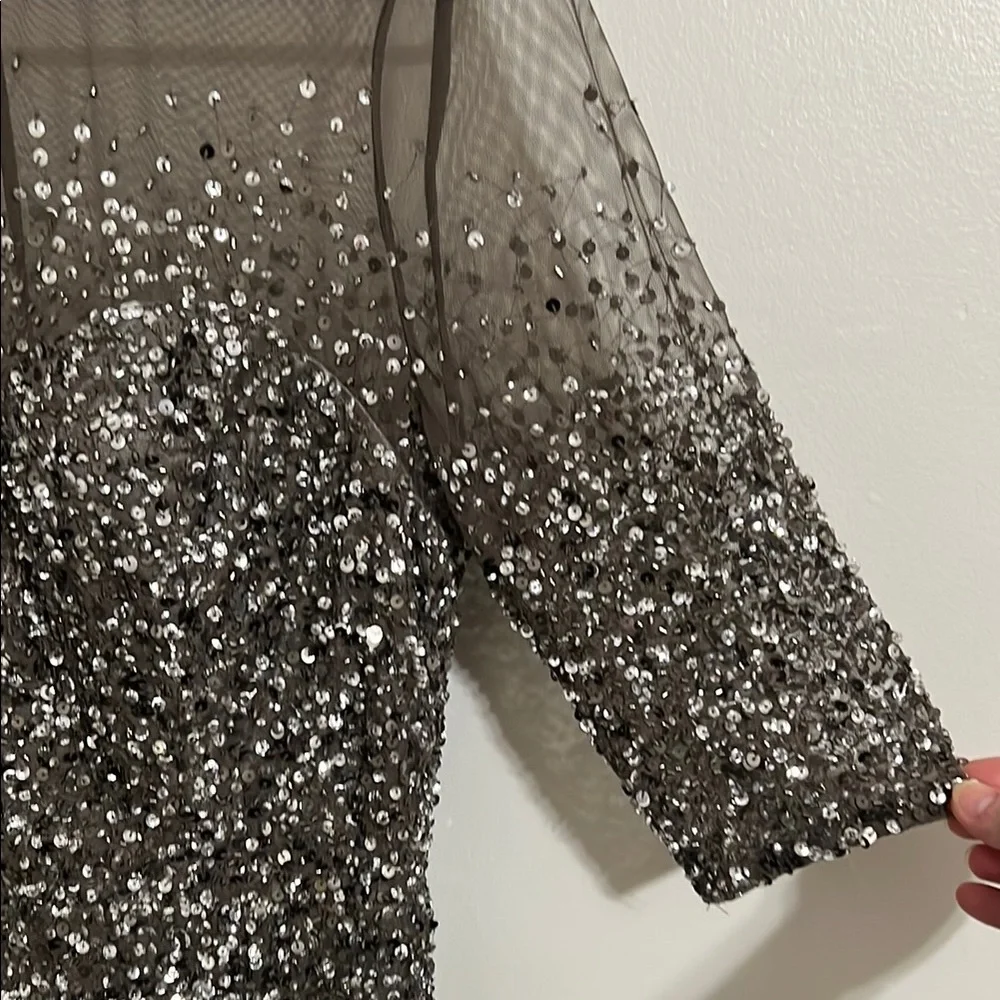 Adrianna Papell Silver Sequin Long Sleeve Mesh Dress - Picture 4 of 8